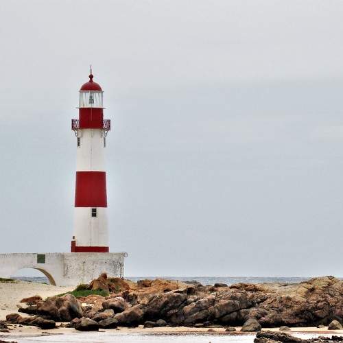 Photo #9923909