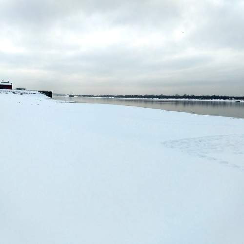 Photo #9923957