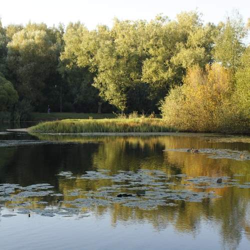 Photo #9923982