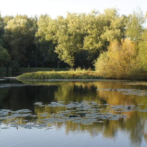 Photo #9924005