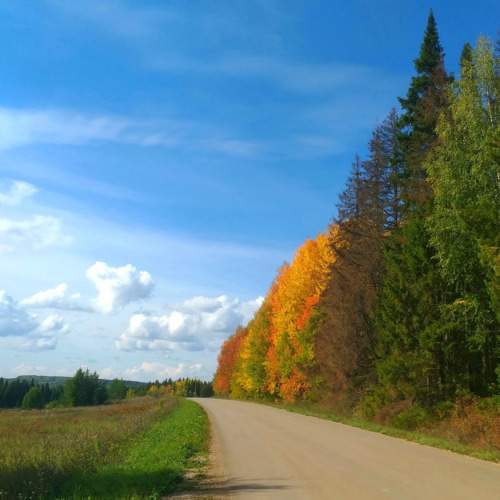 Photo #9924038