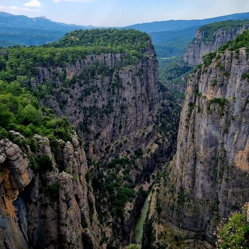 Photo #9924057