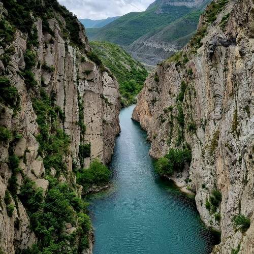 Photo #9924067