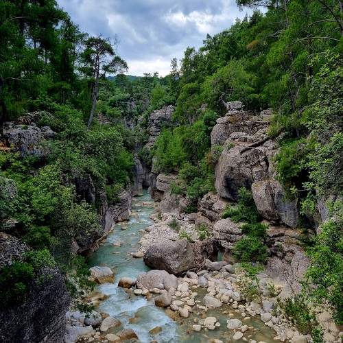 Photo #9924078