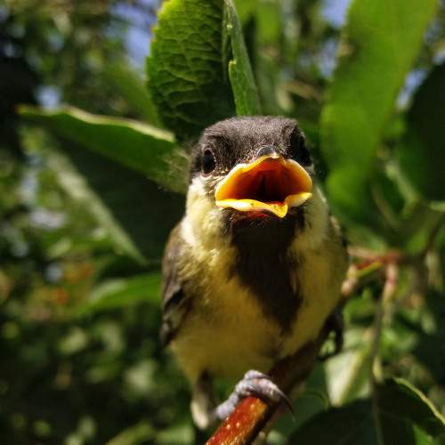 Photo #9924270