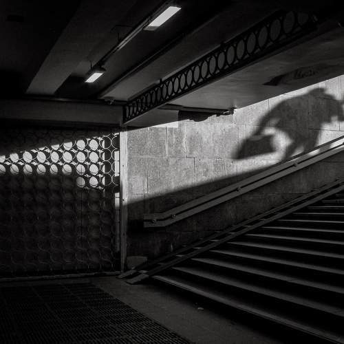 Photo #9924607