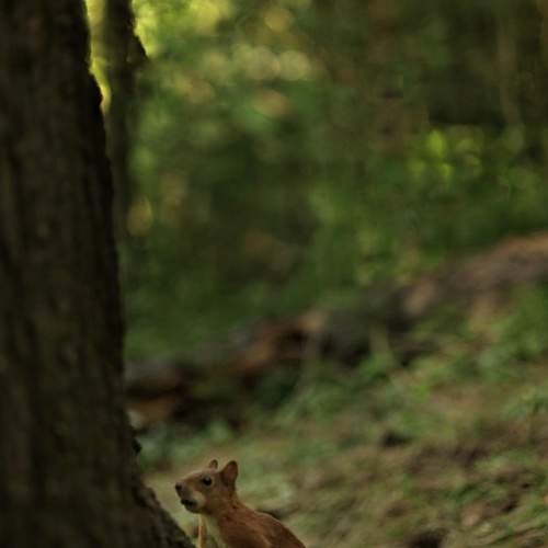 Photo #9924661