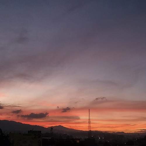 Photo #9924972