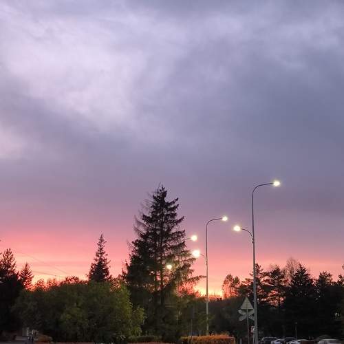 Photo #9925015