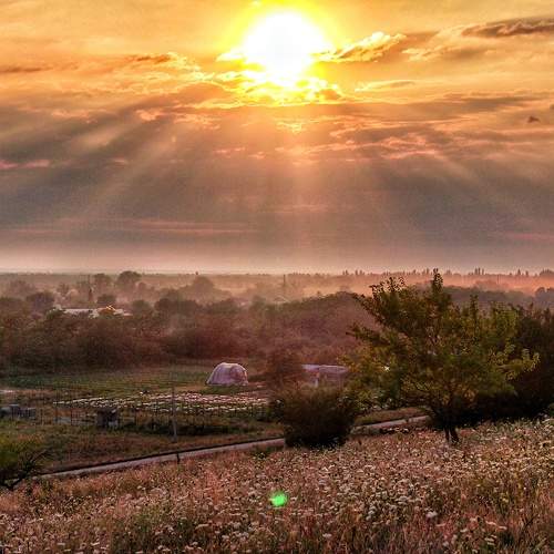 Photo #9925086