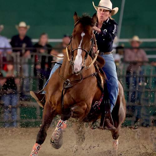 Фотография #9925136