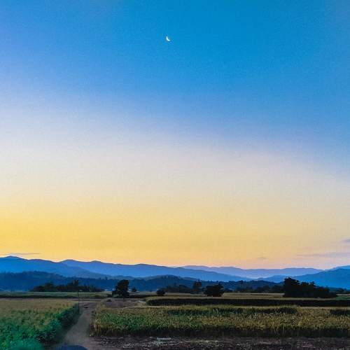 Photo #9925203