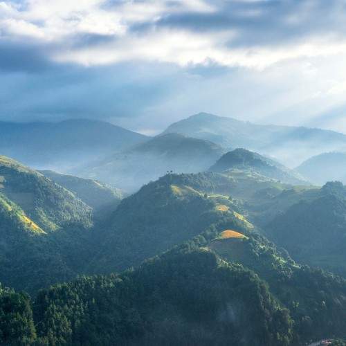 Photo #9925283
