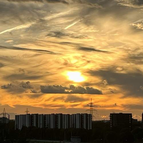 Photo #9925845
