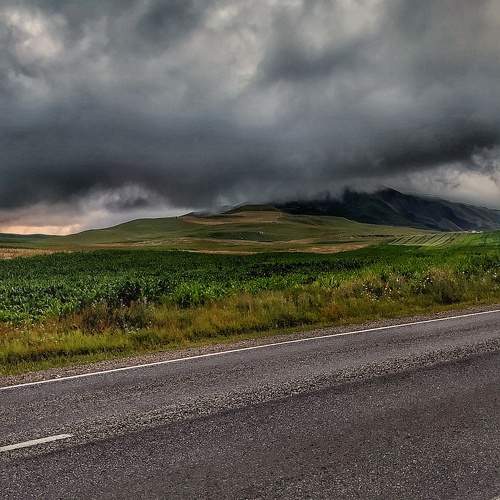 Photo #9926211