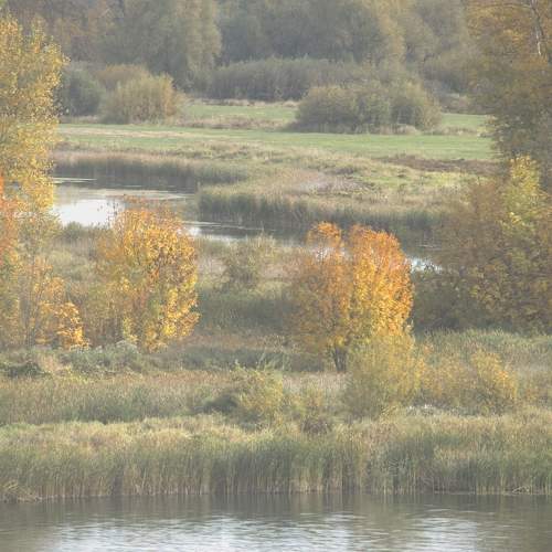 Photo #9926551