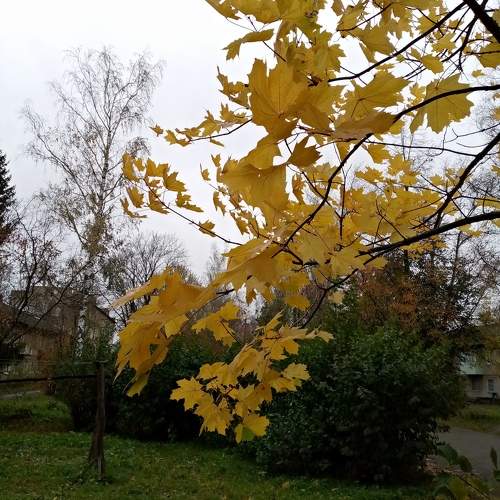 Photo #9926558