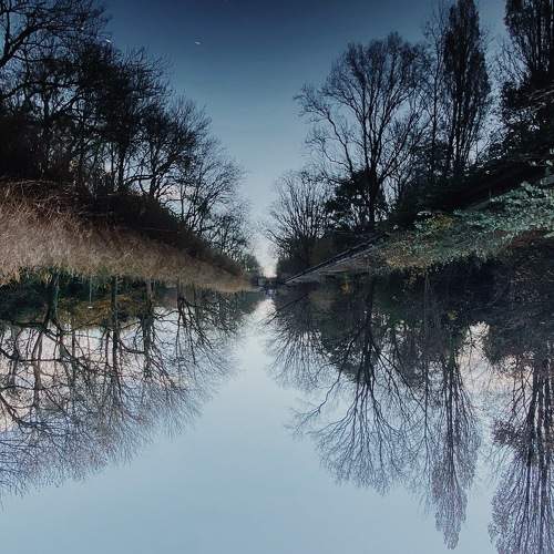 Dutch Winter Landscape