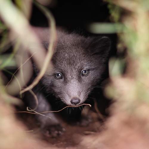 Photo #9926886