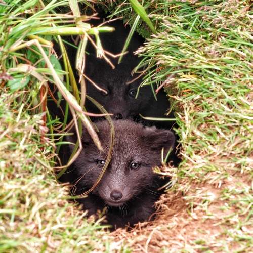 Photo #9926890