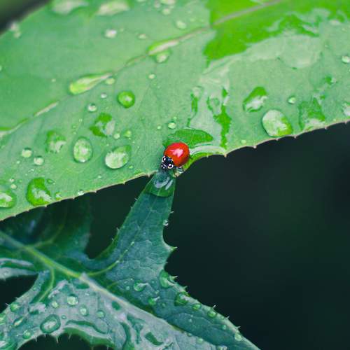 Photo #9927082