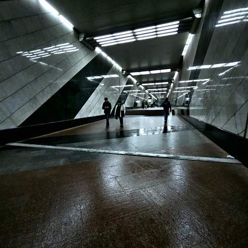 Photo #9927114