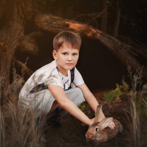 Photo #9927474