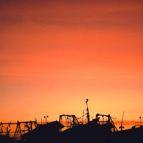 Sunset in city