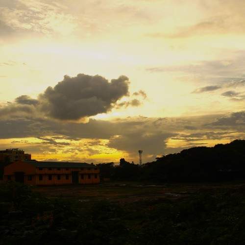 Photo #9927791