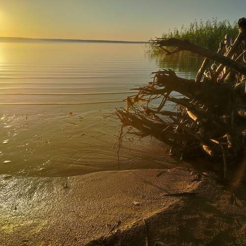 Photo #9927804