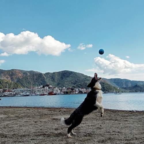 Photo #9927890