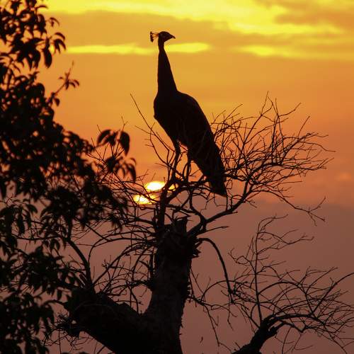 Photo #9928279