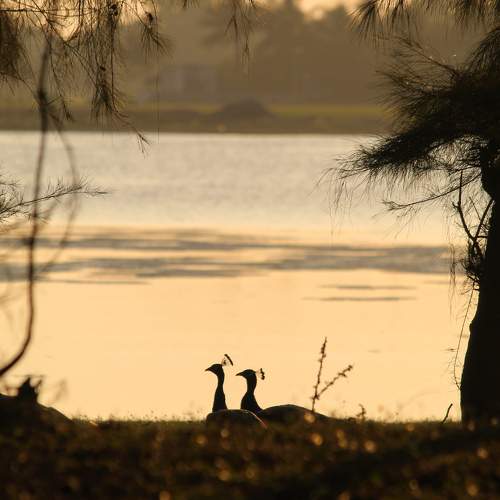 Photo #9928280