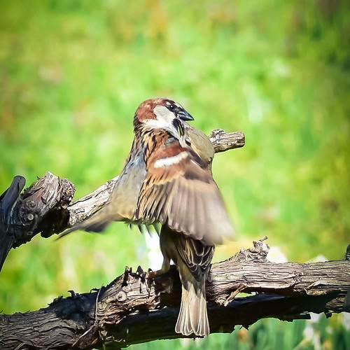 Photo #9928722