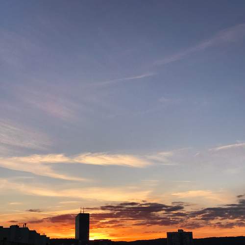 Photo #9929067