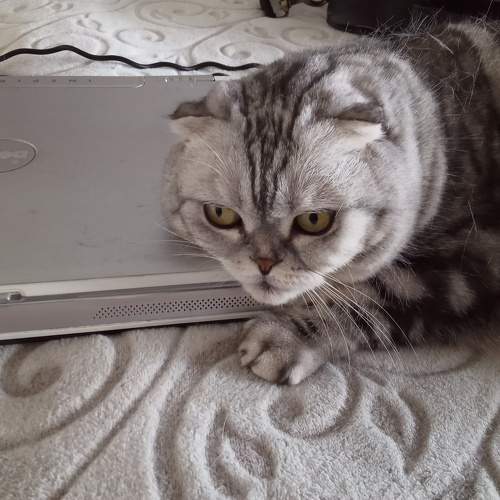 Photo #9929103