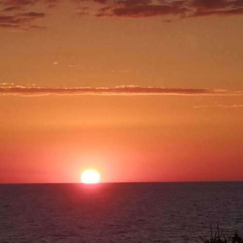 Photo #9929224