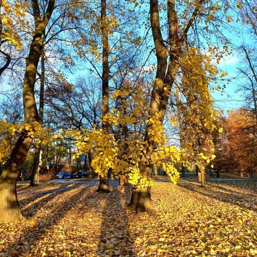 Photo #9929533