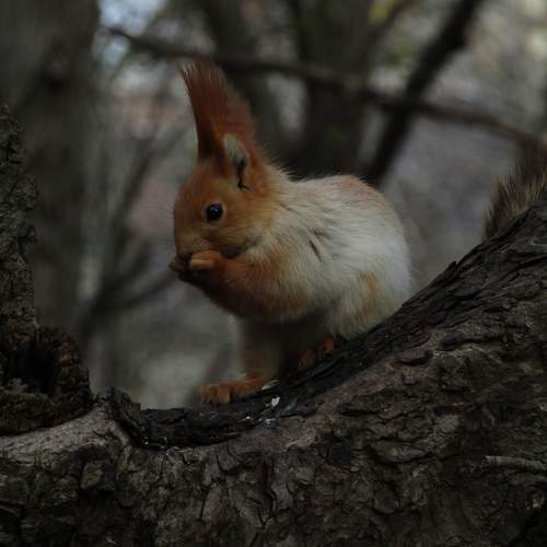 Photo #9929546