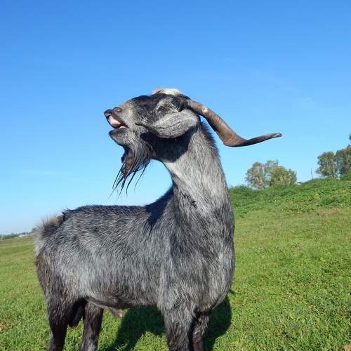 Photo #9929733
