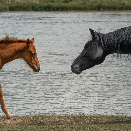 Photo #9929956