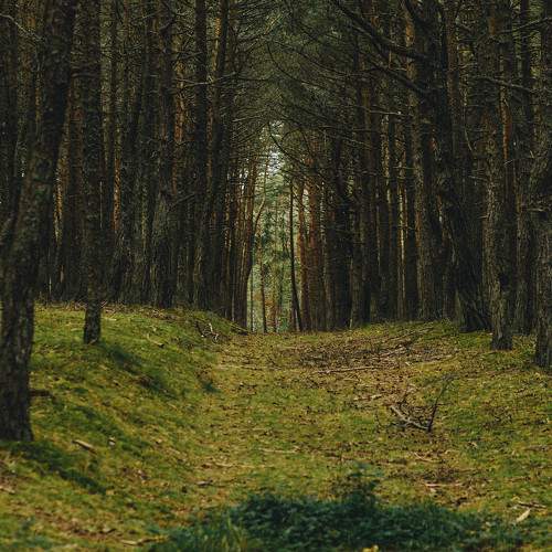 Photo #9930044