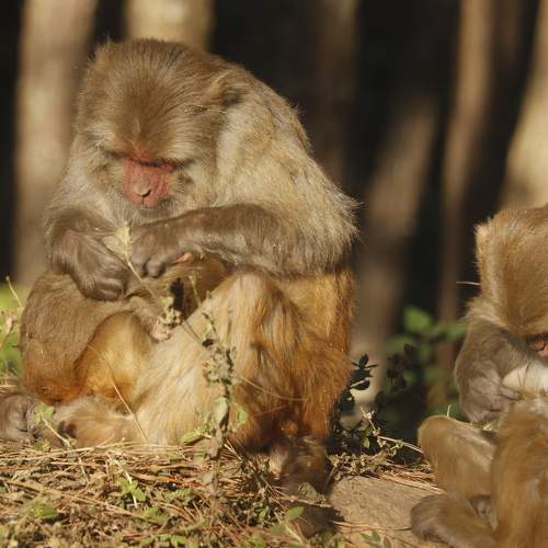 Photo #9930459