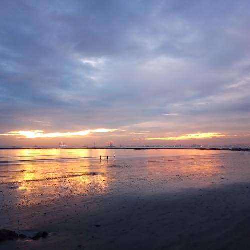 Photo #9930493