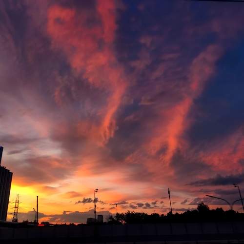 Photo #9930513