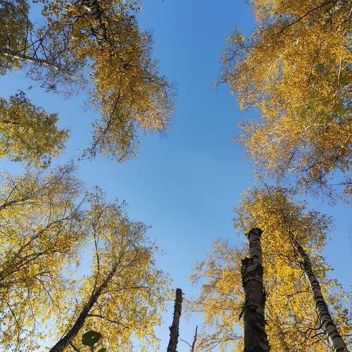 Photo #9930778