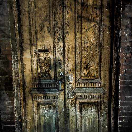 Photo #9931086