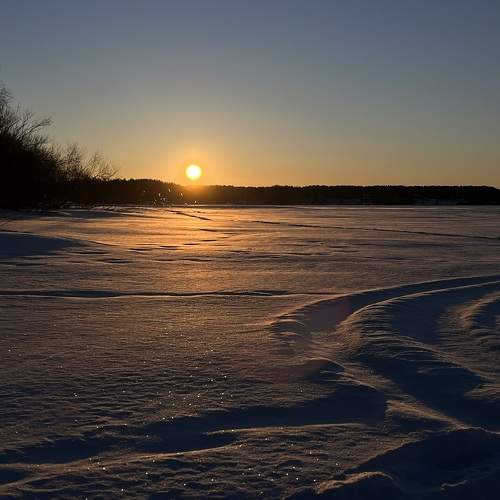 Photo #9931094