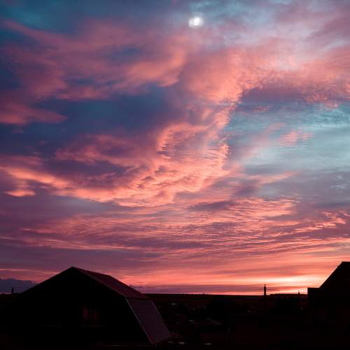 Photo #9931275