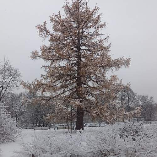 Photo #9931393